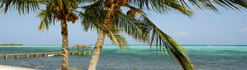 Job vacancies in the Cayman Islands with Reach International, recruiting roles for accountancy, finance, financial services and banking professionals starting or furthering their offshore or international careers. No tax in paradise ........