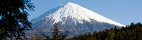 Job vacancies in Japan with Reach International, recruiting roles for accountancy, finance, financial services and banking professionals starting or furthering their offshore or international careers.