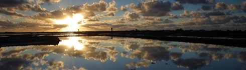 Job vacancies in Turks and Caicos Islands with Reach International, recruiting roles for accountancy, finance, financial services and banking professionals starting or furthering their offshore or international careers. Low tax in paradise .......